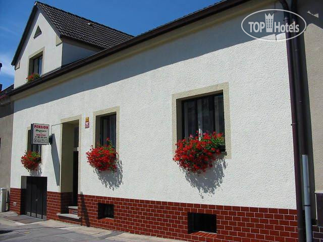 Hotelier's photos Begonie Pension 2*