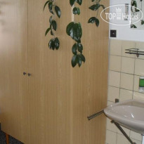 Begonie Pension