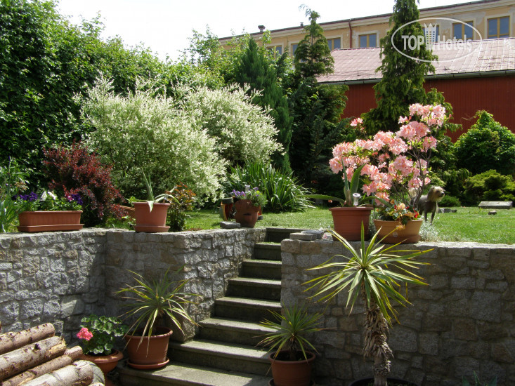 Hotelier's photos Iga Penzion
