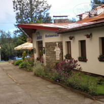 Jenisov 