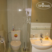 Goethe U Tri Moureninu 