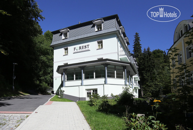 Hotelier's photos Forest Park Hotel 3*