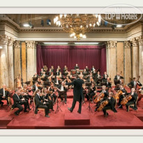 Villa Patriot Концерты