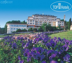 Hotel photo Palace 4*