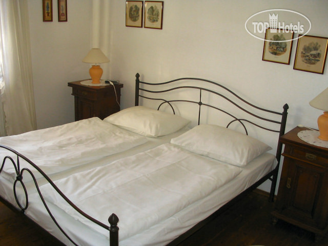 New photos from tourists Villa Olivia 3*