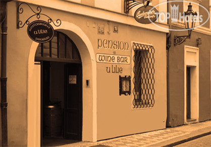 Hotel photo Pension U Lilie 3*