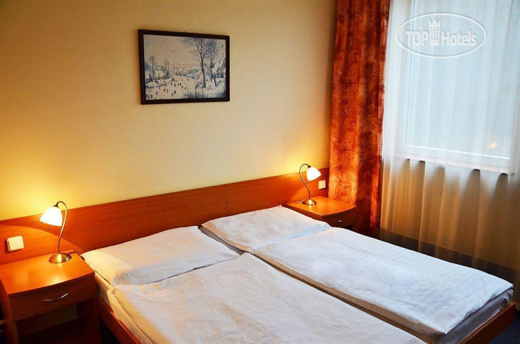 Hotelier's photos Albionette 4*