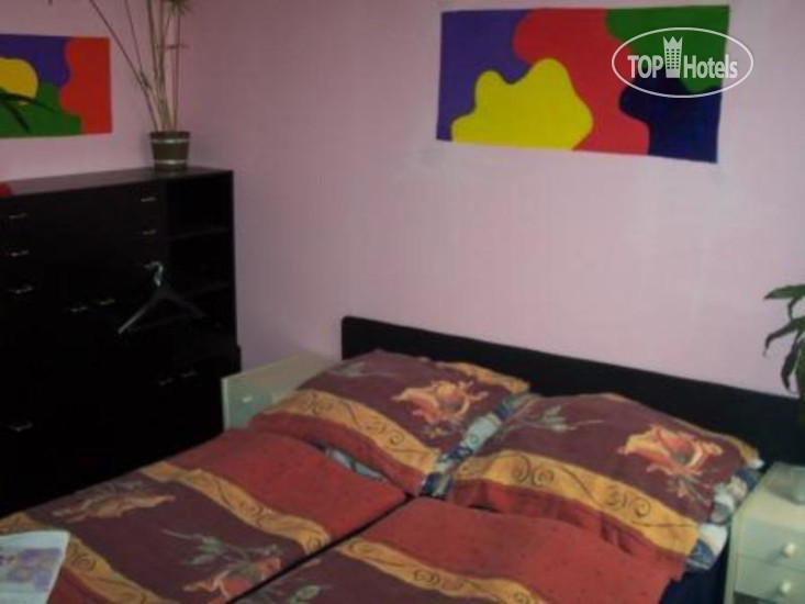 New photos from tourists Kaktus Hostel