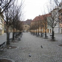Dvorak Residence  