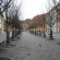 Dvorak Residence  