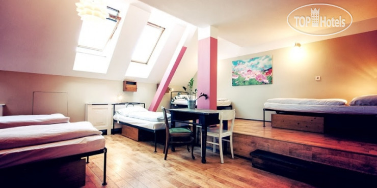 New photos from tourists Sir Toby's Hostel 2*