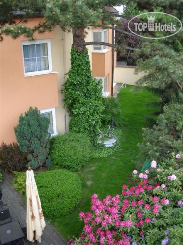 New photos from tourists Tulipan Hotel 3*