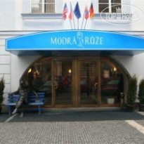 Modra ruze