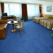 Top Hotel Congress Center