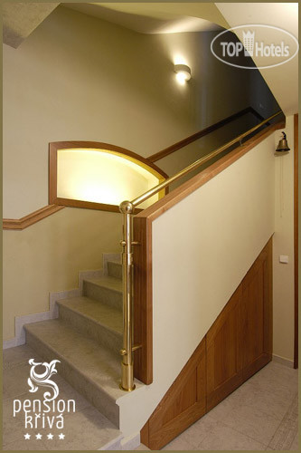 New photos from tourists Kriva Pension 4*