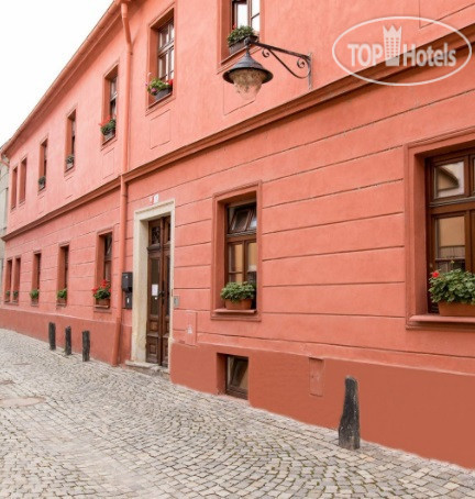 Hotel photo Bellis Penzion  