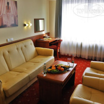 Alessandria Hradec Kralove spol 