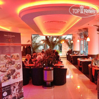 Alessandria Hradec Kralove spol 