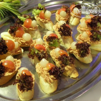 Alessandria Hradec Kralove spol 