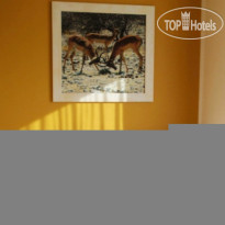 Afrika Hotel 