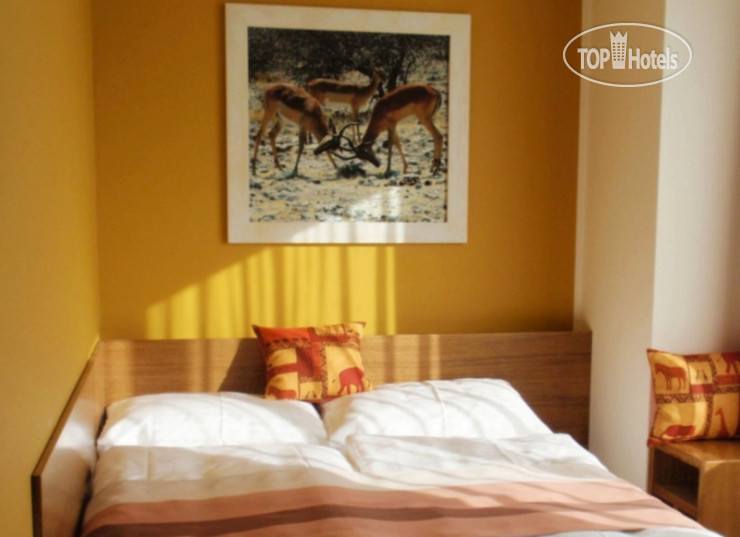 New photos from tourists Afrika Hotel 4*