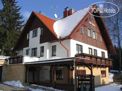 Hotelier's photos Bedriska 3*