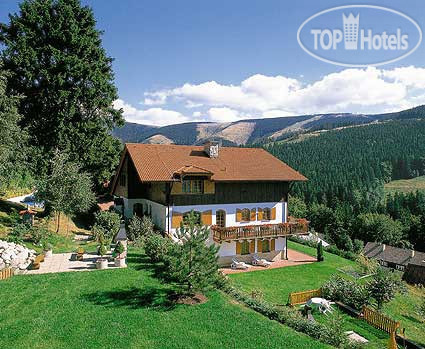 Hotelier's photos Pension Rosa 3*