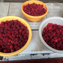 Zelena Marina Garni Hotel  