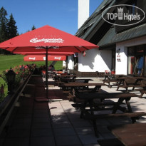 Sedy Vlk Hotel  Ресторан
