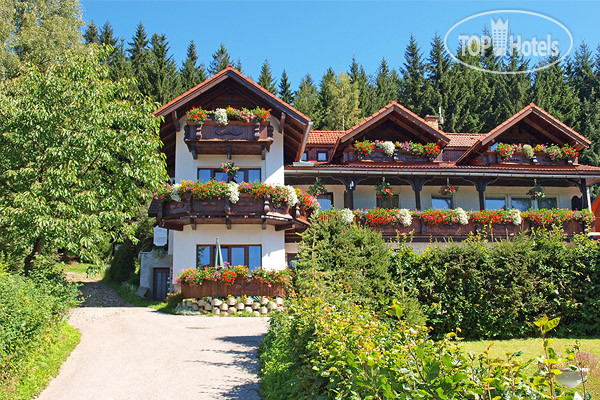 Hotelier's photos Pretty Pension