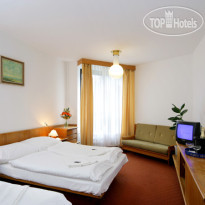 Wellness Hotel Svornost 