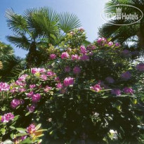 Continental Parkhotel 