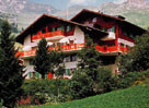 Hotel photo Vieux Valais 3*