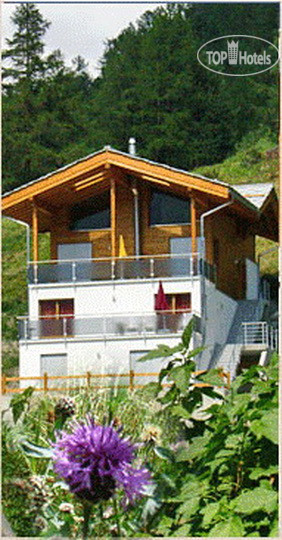 New photos from tourists Res. Alpharmonier 4*