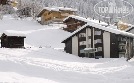 New photos from tourists Mia 3*