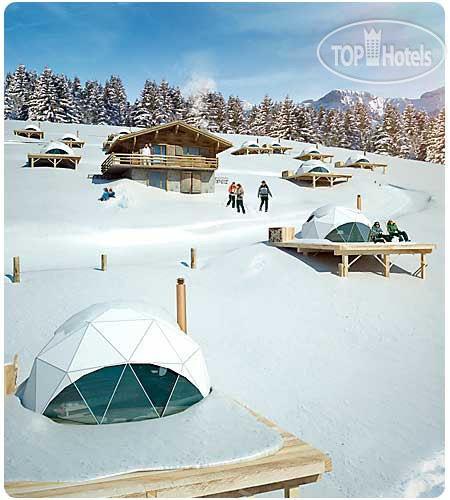 New photos from tourists Whitepod