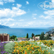 Minotel BRISTOL (закрыт) 