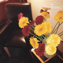 Tulip Inn Lausanne Beaulieu