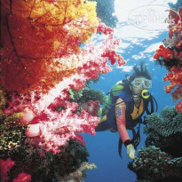 Jean-Michel Cousteau Fiji Islands Resort