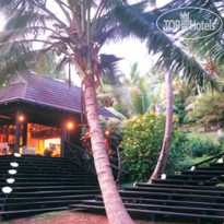 Dolphin Island Fiji 