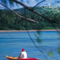 Dolphin Island Fiji 