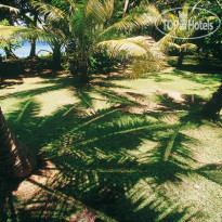 Dolphin Island Fiji 