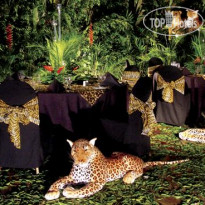 Sheraton Denarau Villas 