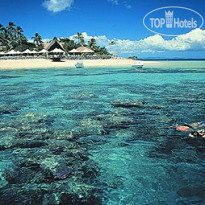 Castaway Island Resort 