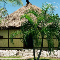 Vomo Island Resort 