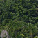 Qamea Resort and Spa 