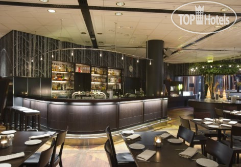 New photos from tourists Scandic Plaza Umea 3*