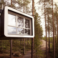 Treehotel 