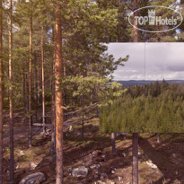 Treehotel 