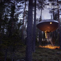 Treehotel 
